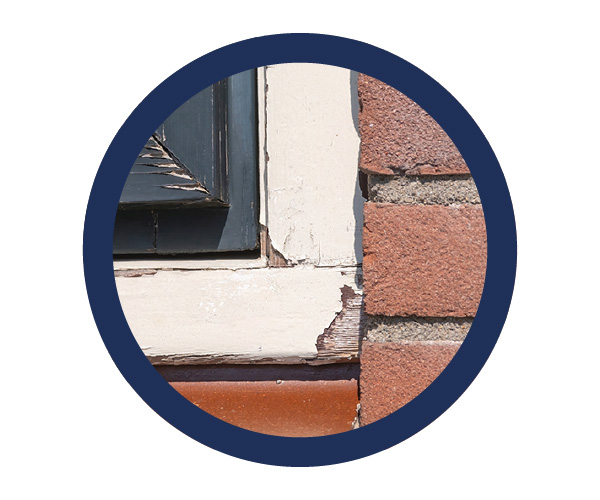 1. Pourriture du bois, fissures ou fentes